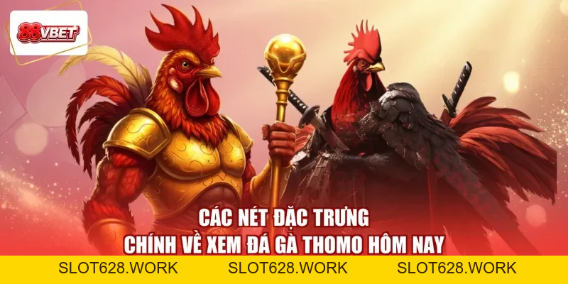 Xem Đá Gà Thomo Hôm Nay 88VBET - Theo Kèo Hay, Nhận Quà Ngay - slot628