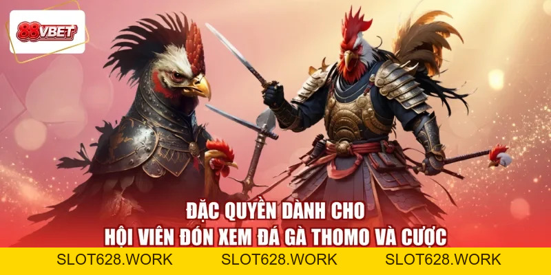 Xem Đá Gà Thomo Hôm Nay 88VBET - Theo Kèo Hay, Nhận Quà Ngay - slot628