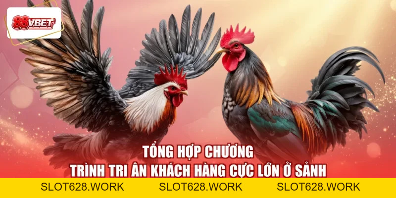 Đá Gà Trực Tiếp 88VBET - Xem Trận Đấu Hay, Rinh Ngay Quà Lớn - slot628
