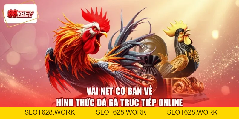 Đá Gà Trực Tiếp 88VBET - Xem Trận Đấu Hay, Rinh Ngay Quà Lớn - slot628